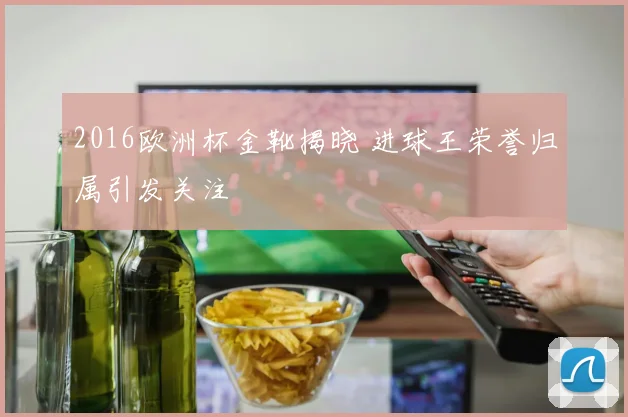 2016欧洲杯金靴揭晓 进球王荣誉归属引发关注