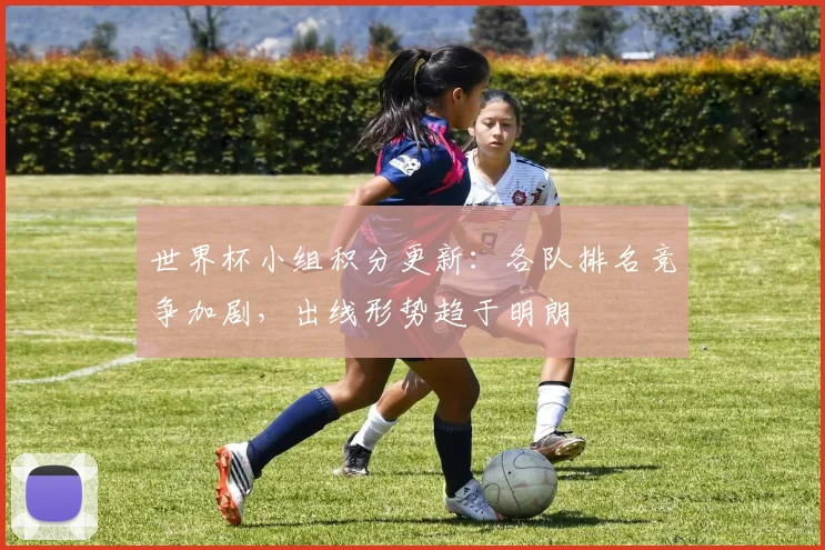 世界杯小组积分更新:各队排名竞争加剧,出线形势趋于明朗