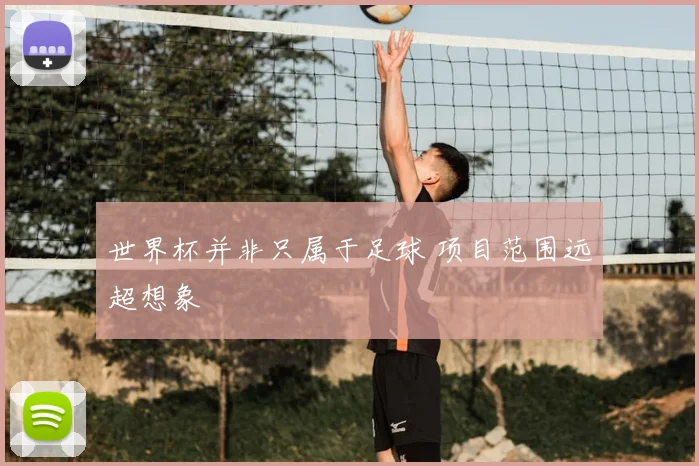 世界杯并非只属于足球 项目范围远超想象