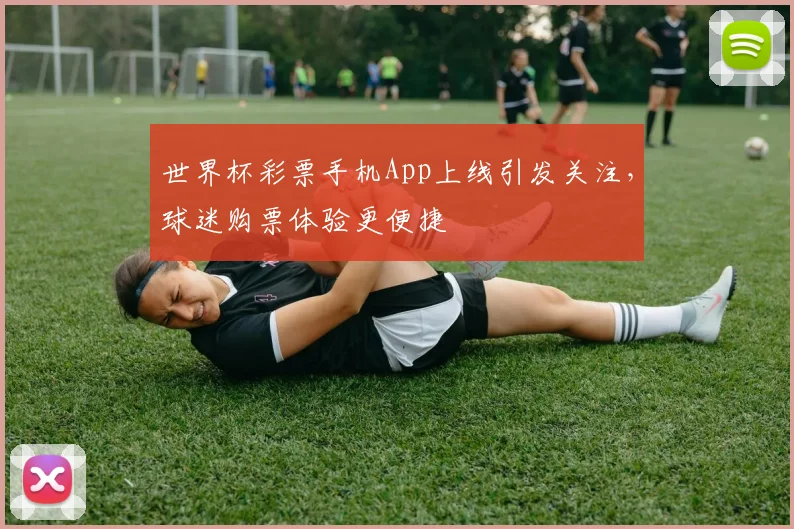 世界杯彩票手机App上线引发关注，球迷购票体验更便捷