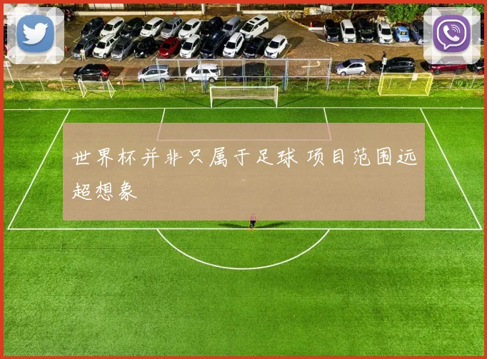 世界杯并非只属于足球 项目范围远超想象