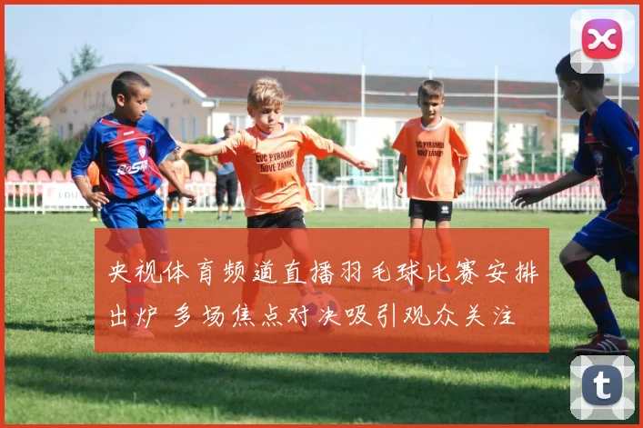 央视体育频道直播羽毛球比赛安排出炉 多场焦点对决吸引观众关注