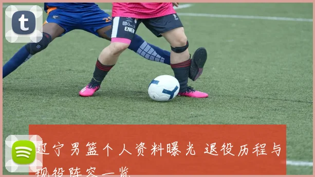 辽宁男篮个人资料曝光 退役历程与现役阵容一览
